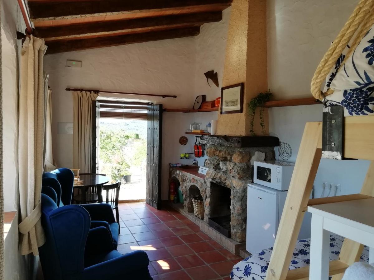 Estudio con terraza